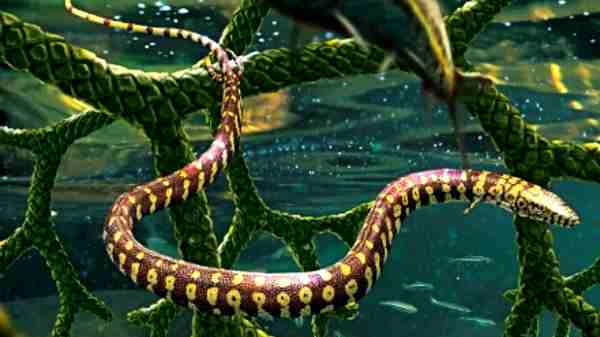 நான்கு காலுடன் கிடைத்த 'பாம்பு' படிமம்.. இது டிராகனா இல்லை பல்லியா? 5 ஆண்டாக நீடிக்கும் குழப்பம்..