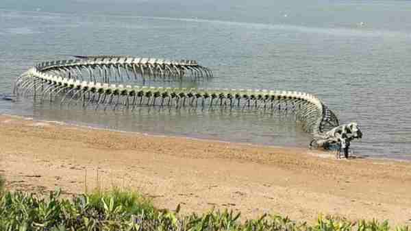 கூகுள் எர்த்தில் தெளிவாகத் தெரியும் பாம்பின் ராட்சத உருவம்