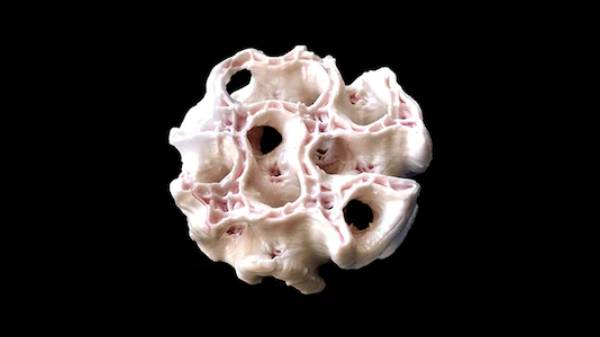 செவ்வாயில் வீரர்களுக்கு எலும்பு முறிய வாய்ப்பா? தோல் மற்றும் எலும்பு பிரிண்ட் செய்யும் 3D தொழிநுட்பம்..