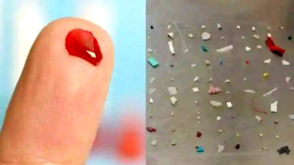 மனித இரத்தத்தில் மைக்ரோ பிளாஸ்டிக்ஸ் குப்பைகளா? ஆராய்ச்சியாளர்கள் கவலை.. ஏன் தெரியுமா?