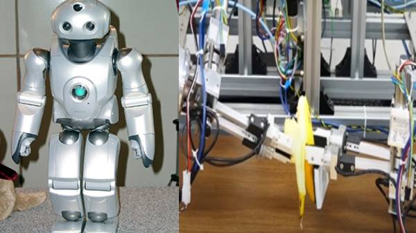 ஒரு லிமிட் இல்லையா?- வாழைப்பழம் உரிக்க ரோபோவுக்கு தீவிர பயிற்சி கொடுத்த ஜப்பான்: காரணமே வேற!