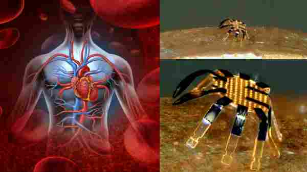 டீனி-டைனி ரோபோ நண்டு: விரைவில் மனித உடலுக்குள் சுற்றித் திரியுமா? இது புதிய சாதனை படைப்பு..