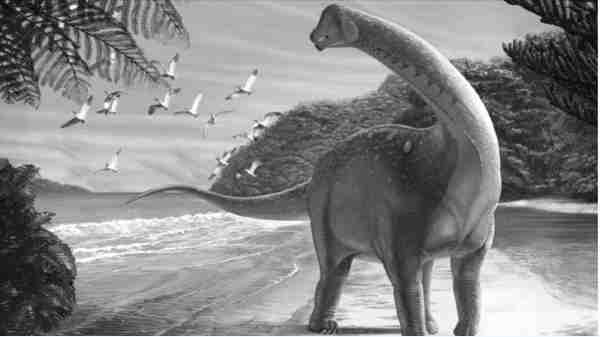 DNA-வின் ஆழத்தில் மறைந்திருக்கும் டைனோசர்கள்