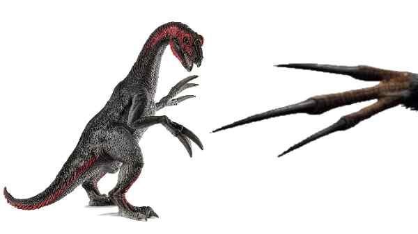 கூர்மையான கத்தி போன்ற நகங்கள்..கோரமான தோற்றம்.. ஆனா இப்படி ஒரு குணமா? ஆச்சரியத்தில் விஞ்ஞானிகள்..