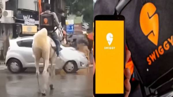 என்ன ராசா சொல்ற? Swiggy பேக் உடன் குதிரையில் போன பையன் நீயா? ஸ்விகி-க்கு காத்திருந்த அதிர்ச்சி!