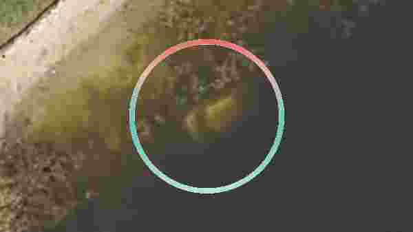 Image result for 22 ஆண்டுகளுக்கு பிறகு நீரில் மூழ்கி இறந்தவரின் உடலை கண்டறிந்த கூகுள் மேப்ஸ்.!